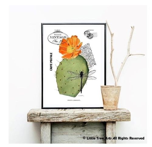 Affiche Cactus Fleur Orange
