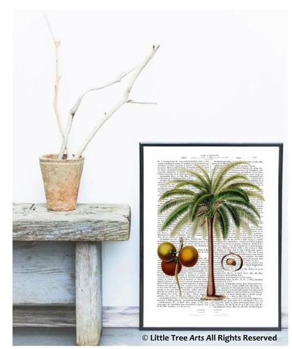 Palm Tree Botbook Page Art Print