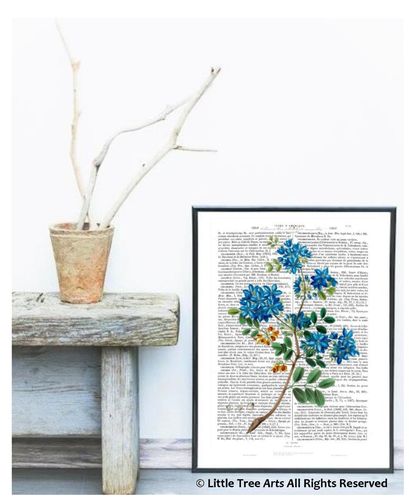 Art Print Gayac Botanical Book Page Blue