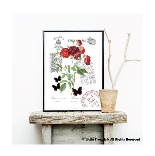 Affiche Rose Ternaux in Bloom