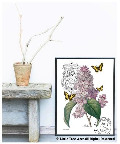 Violet Lilac Art Print