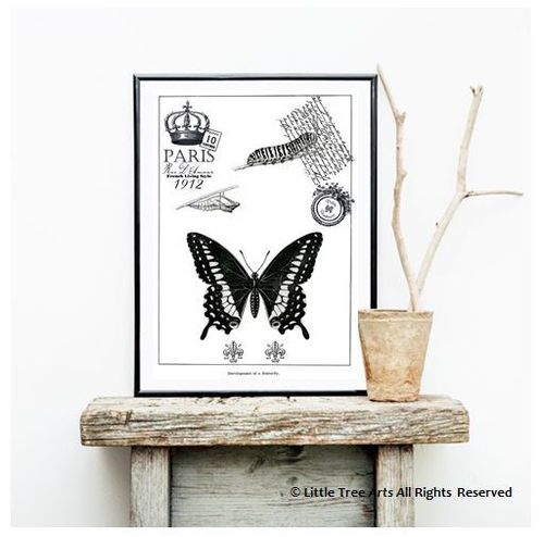 Art Print Evolution of the Butterfly