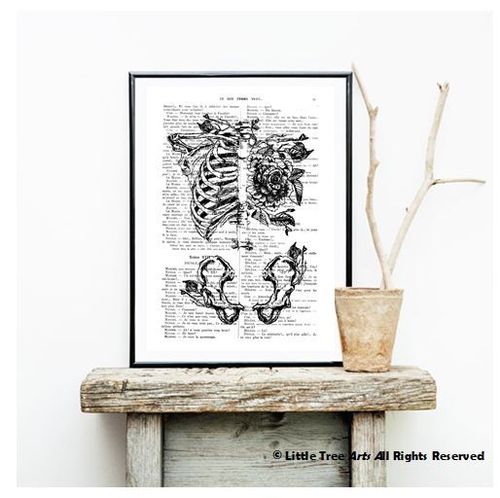 Flower Skeleton Book Page Art Print