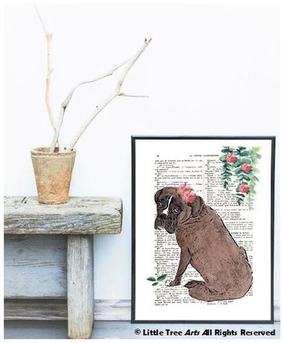 Boxer Dog Portrait Book Page Art Print
